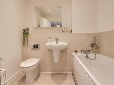Picture 17